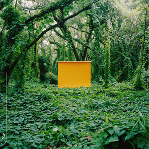 徐若瑄Angel裸体图片
