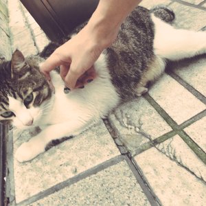 徐若瑄Angel裸体图片
